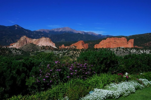 Garden Of The Gods Club And Resort image 33